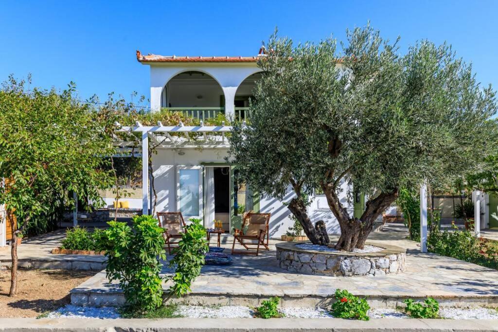 Nina-Myrtia Countryside House Skopelos Ditropo Esterno foto